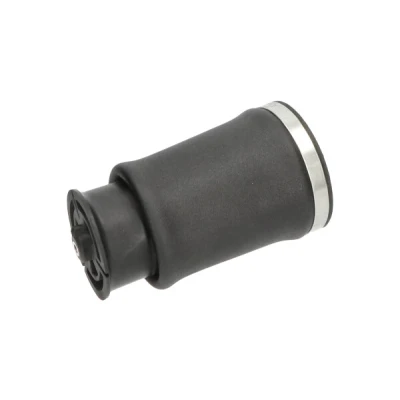 Afbeelding van Kavo Parts Veer SAS 10017