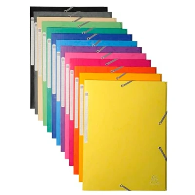 Afbeelding van Exacompta Ref. 17100H Pak van 10 elastische mappen Maxi capaciteit insteekhoezen in glanzend karton afmetingen 24 x 32 cm voor documenten A4 formaat 12 verschillende kleuren