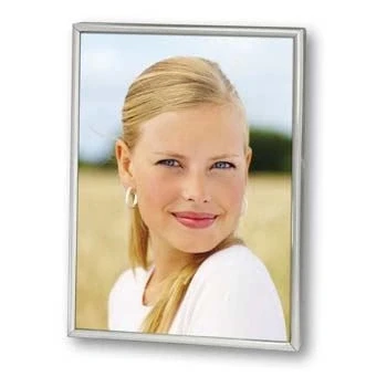 Afbeelding van Zep 120S06 8R Silver Plated Frame 20x25 cm