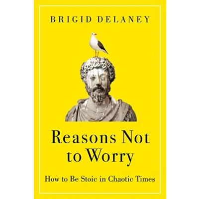 Afbeelding van Reasons not to worry: how be Stoic in chaotic times