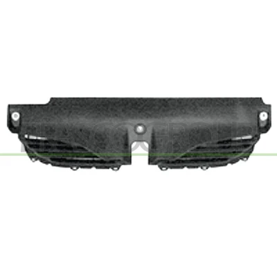 Afbeelding van Radiateurgrille PRASCO RN0822001