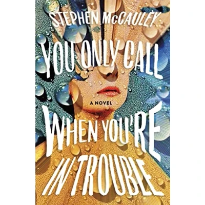 Afbeelding van You Only Call When You&#039;re in Trouble: A Novel
