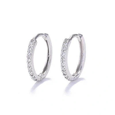 Afbeelding van LuLiyLdJ 1 paar zilveren oorbellen zirkonia creolen dames geschenken / heren zilver 12 mm