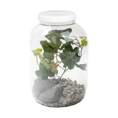 Afbeelding van BUGzzz L insectenverblijf 5000ml