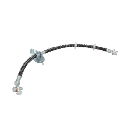 Afbeelding van Delphi Diesel Remslang LH0404