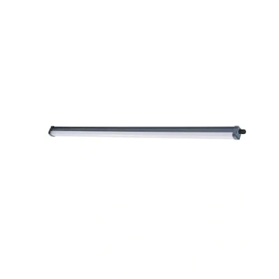 Afbeelding van Philips ProjectLine LED lamp voor vochtige ruimte 34 W Koudwit Zwart