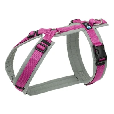 Afbeelding van AnnyX Hondentuig FUN Speurtuig Fuchsia/Grijs maat M Borstomvang 62 74cm Gewicht hond 18 30 kg My K9