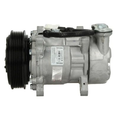 Afbeelding van Delphi Diesel Airco compressor TSP0159242