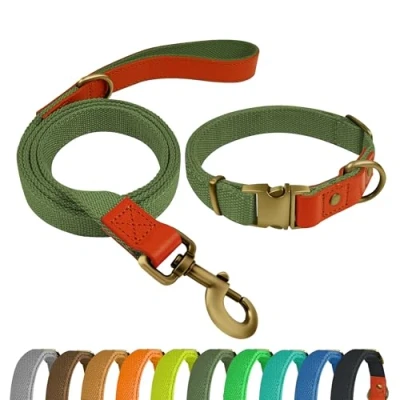 Afbeelding van QRDA Militaire Groene Hondenhalsband en Riem Set Gepersonaliseerde Verstelbare Tactische voor Middelgrote Honden Grote