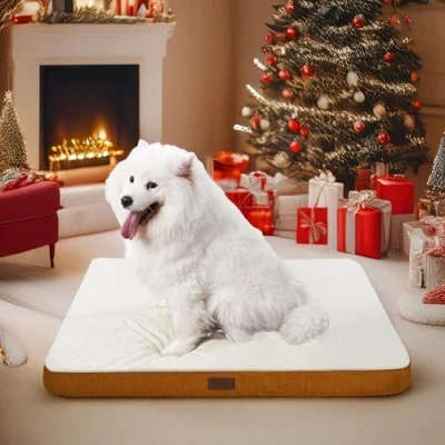 Afbeelding van PETNOVO Orthopedisch hondenbed voor kleine honden, wasbaar, zachte hondenmat, afneembare overtrek, 112 x 81 8 cm, pompoen