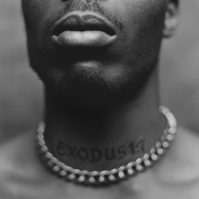Afbeelding van DMX Exodus (CD) (Limited Edition)