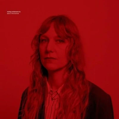 Afbeelding van Hedvig Mollestad Bees In The Bonnet (LP) (Coloured Vinyl)