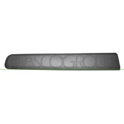 Afbeelding van Sier / beschermingspaneel, deur PRASCO FT1241413
