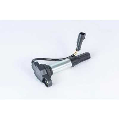Afbeelding van Bobine BERU ZSE257