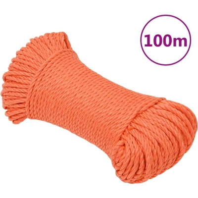 Afbeelding van vidaXL Werktouw 6 mm 100 m polypropeen oranje