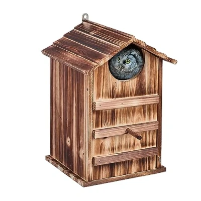Afbeelding van uilenkast kleine uil invliegopening 9,5 x cm met klapdeur hout