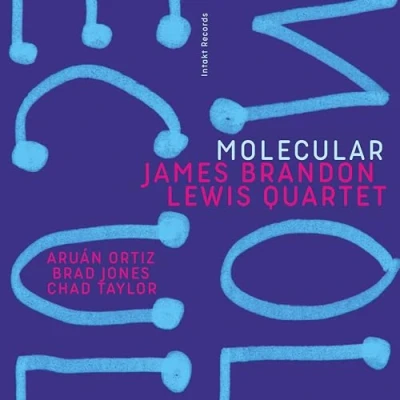 Afbeelding van James Brandon Lewis, Chad Taylor &amp; Aruán Ortiz Molecular (CD)