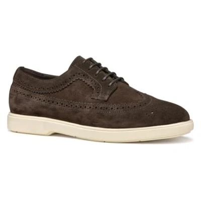 Afbeelding van GEOX SPHERICA EC17 HEREN Veterschoenen DONKERBRUIN Maat 40