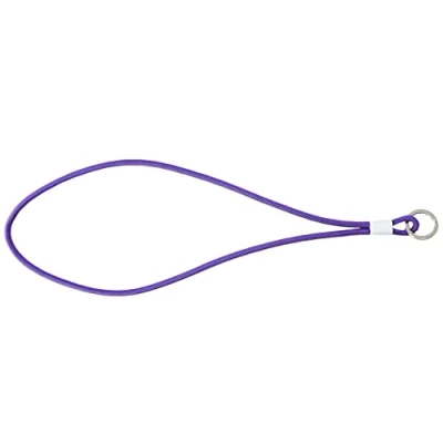 Afbeelding van Sleutelhanger Copenhagen Design Pantone Groot Ultra Violet