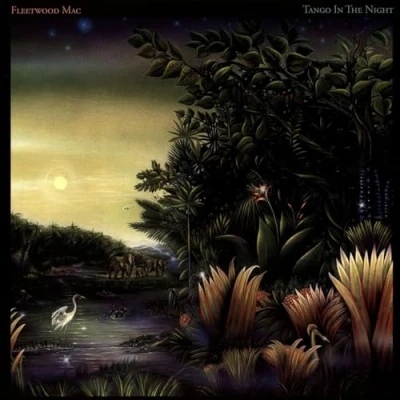 Afbeelding van Fleetwood Mac Tango In The Night