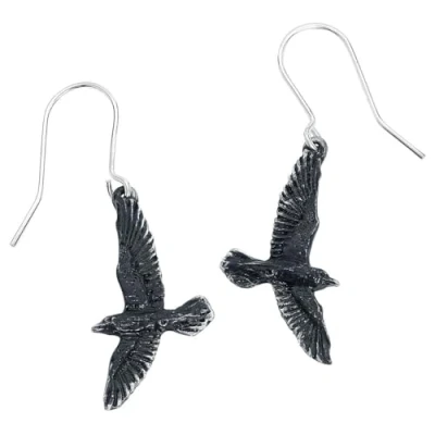 Afbeelding van Alchemy BLACK RAVEN Oorbellen Zilverkleurig