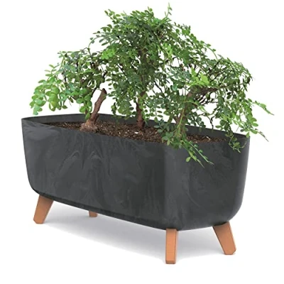 Afbeelding van botle Bloempot aan de poten, potten, plantenbak, 39 cm breed, antraciet, kunststof bloembak met inzetstuk, betonlook, bloempot, geldboom, cactussen, rubberboom