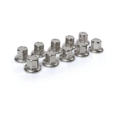 Afbeelding van Amerikaanse, roestvrijstalen moerkapjes, platte kop, set van 10 stuks ? 32 mm