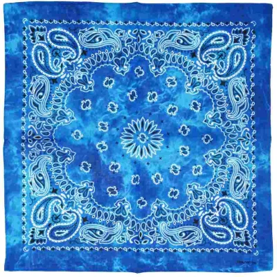 Afbeelding van Zac&#039;s Alter Ego Shaded Retro Vintage Paisley Bandana Turquoise