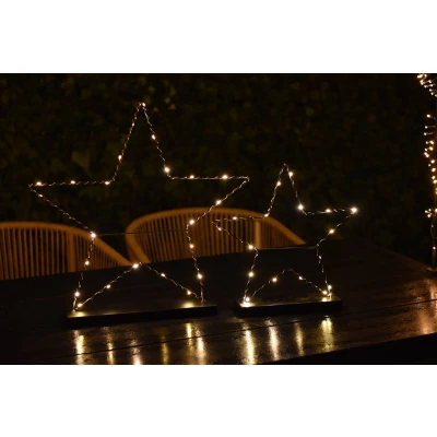 Afbeelding van Decoratie LED Ster met 25 LEDs 9x55 cm Zwart