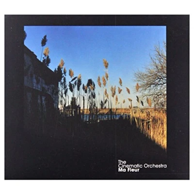 Afbeelding van Submotion Orchestra: Ma Fleur (Tour Edition 2015) [CD]