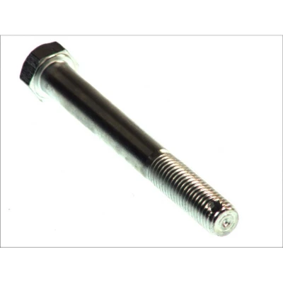 Afbeelding van Schroef AUGER 54797