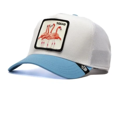 Afbeelding van Goorin Bros Pet, Heren, Maat: One Size, Lightblue