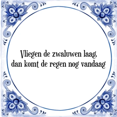 Afbeelding van Vliegen de zwaluwen laag, dan komt regen nog v Tegeltje + Spreuk
