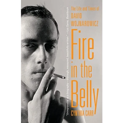 Afbeelding van Fire in The Belly: Life and Times of David Wojnarowicz