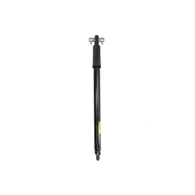 Afbeelding van Kantelcilinder, cabine PETERS 013.744 00A