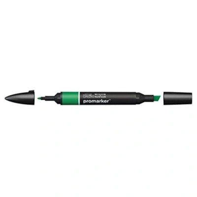Afbeelding van Winsor and Newton Promarker Lush Green G756