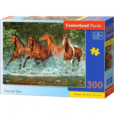 Afbeelding van Castorland Legpuzzel Cascade Run Karton 300 Stukjes