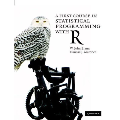 Afbeelding van A First Course in Statistical Programming with R