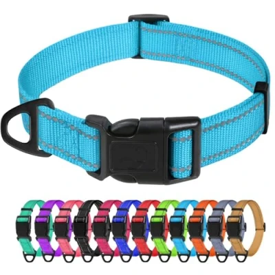 Afbeelding van TagMe Reflecterende nylon halsbanden, verstelbare klassieke halsband met snelsluiting gesp voor middelgrote honden, hemelsblauw, 2,5 cm breedte