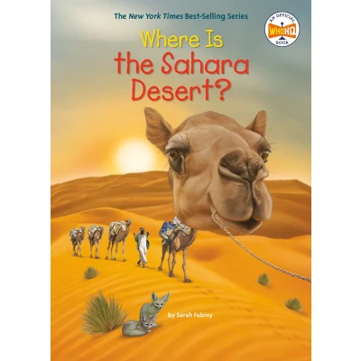 Afbeelding van Where Is the Sahara Desert?
