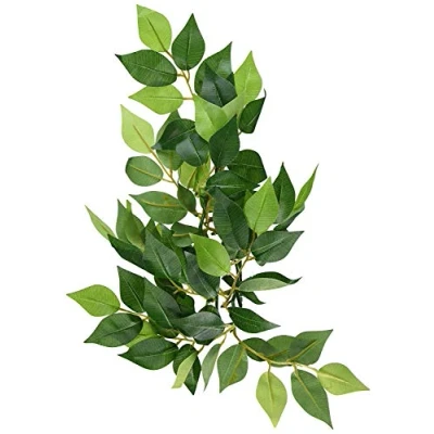 Afbeelding van Exo Terra Zijde Ficus Plant, Klein