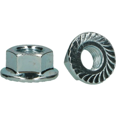 Afbeelding van PGB FASTENERS Zeskant Flensmoer Verzinkt Cr3+ Staal M 10