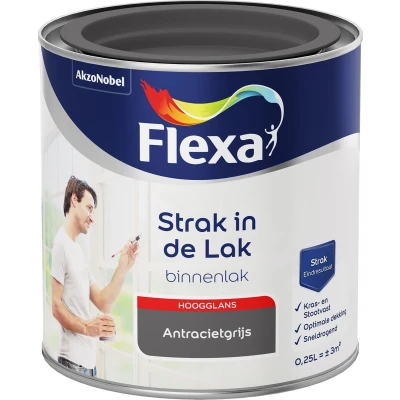 Afbeelding van Flexa Strak in de Lak Watergedragen Hoogglans antracietgrijs 250 ml