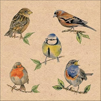Afbeelding van Ambiente 20 servetten diermotieven vogels uit huis als tafeldecoratie. Papieren met motief. Ook voor decoupage en servettechniek 33 x cm