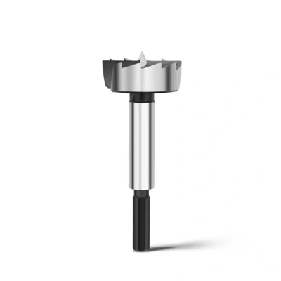 Afbeelding van Forstnerboor 41 mm voor hout, Forstner bits diameter mm, lengte 90 met 8 zeskantige schacht