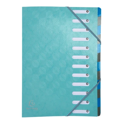 Afbeelding van Exacompta 56220E een uittrekbare map, 12 vakken, gelamineerd deksel, 7/10, formaat 24, 5 x 32 cm, willekeurige kleurkeuze