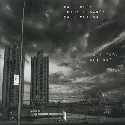 Afbeelding van Paul Bley, Gary Peacock, Motian Not Two, One (CD)