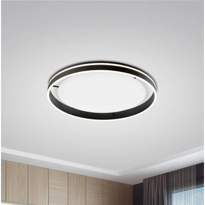 Afbeelding van Paul Neuhaus Smart plafondlamp Q Vito Ø 80cm antraciet 8418 13