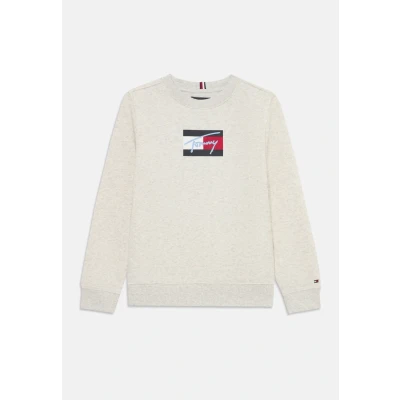 Afbeelding van Tommy Hilfiger Script FLAG Unisex Sweater voor kinderen, Maat: 98, Grey