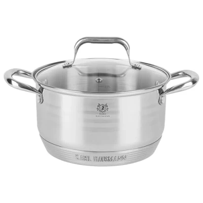 Afbeelding van Kookpan inductie, 20 cm, 3,6 l, roestvrij staal, pan met glazen deksel, geschikt voor alle warmtebronnen, handvat niet heet, als soeppan, pastakan, spaghettipan